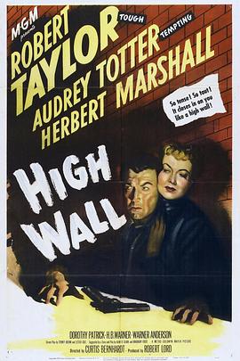 铜墙铁壁 High Wall