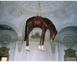 艺术猎艳 Art Safari