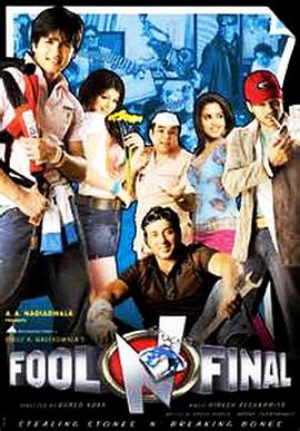 终极傻瓜 Fool N Final