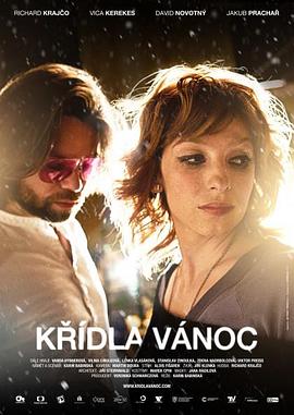 圣诞节的翅膀 Krídla Vánoc