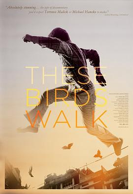 跑路鸟 These Birds Walk