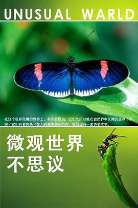 微观世界不思议 Unusual World