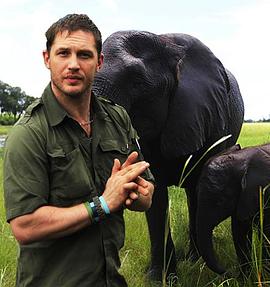 反盗猎战争 Poaching Wars