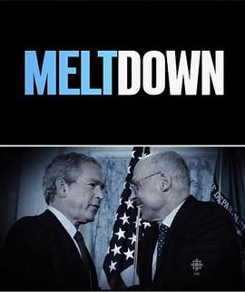 金融海啸 Meltdown: The Secret History of the Global Financial Collapse