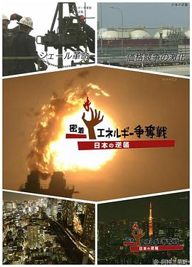 世界页岩气能源争夺战-日本的逆袭 密着 エネルギー争奪戦～日本の逆襲～