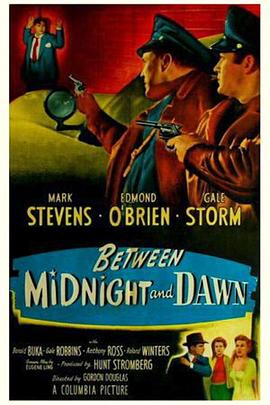 十三号警车 Between Midnight and Dawn
