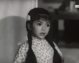 飘零孤凤 飄零孤鳳