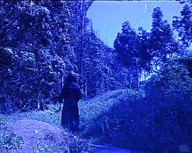 撒旦的婚礼 Satan's Black Wedding