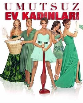 绝望主妇 Umutsuz Ev Kadinlari