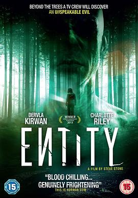 实体 Entity