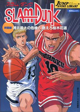 灌篮高手 剧场版3 スラムダンク 湘北最大の危機! 燃えろ桜木花道