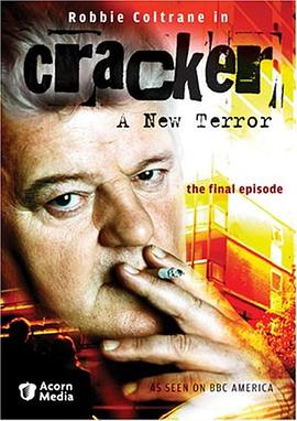 解密高手：新恐惧 Cracker:  A New Terror