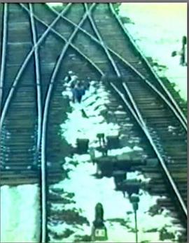 女孩与流浪汉 Lepădații