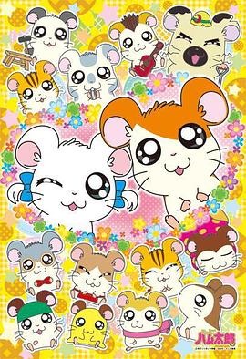 特別篇IV 哈姆好友的目標！哈姆哈姆金牌~跑吧！跑吧！大作戰！ とっとこハム太郎 ハムちゃんずのめざせ!ハムハム金メダル~はしれ!はしれ!だいさくせん!~