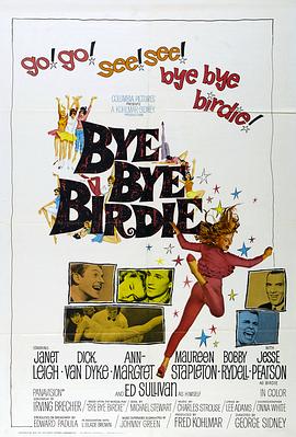 欢乐今宵 Bye Bye Birdie