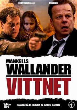沃兰德探长系列：目击者 Wallander: Vittnet