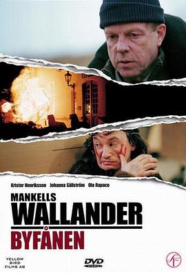 沃兰德探长系列：愚者之罪 Wallander: Byfånen