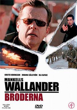 沃兰德探长系列：同胞之恶 Wallander: Bröderna