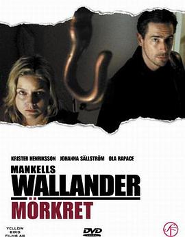 沃兰德探长系列：过量 Wallander: Mörkret