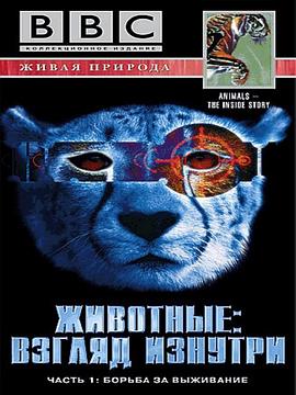 透视动物 Animal The Inside Story