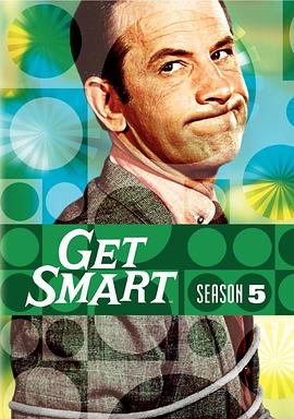 糊涂侦探  第五季 Get Smart Season 5