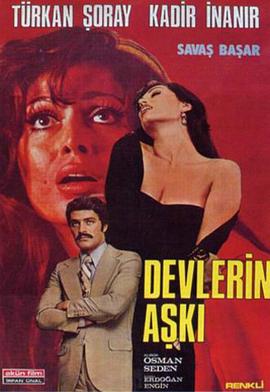 巨人的爱 Devlerin Aşkı