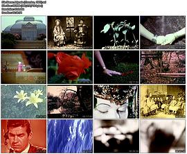 东方幻想录 Adynata