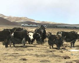 天路入藏 High Clouds Railway to Tibet