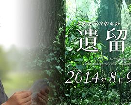 遗留捜査 2014特别篇 遺留捜査スペシャルドラマ2014