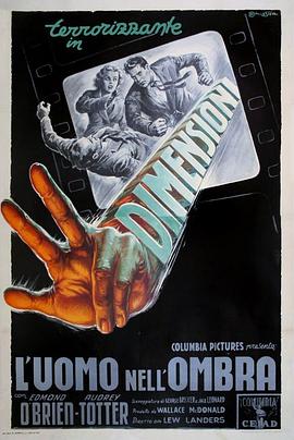 黑暗中的男人 Man in the Dark