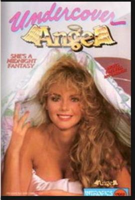 秘密天使 Undercover Angel