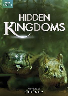 隐秘王国 Hidden Kingdoms
