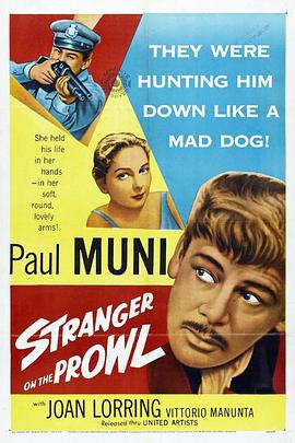 天涯沦落人 Stranger on the Prowl