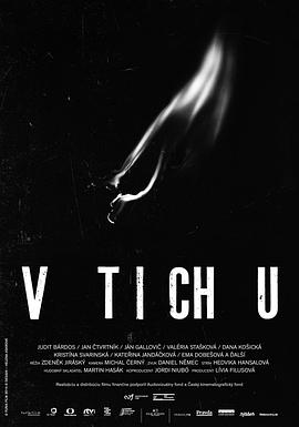 幸存者 V tichu