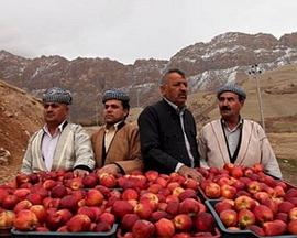 1001个苹果 1001 Apples
