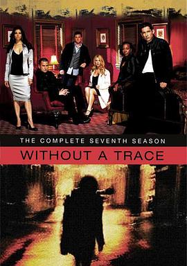 寻人密探组 第七季 Without a Trace Season 7