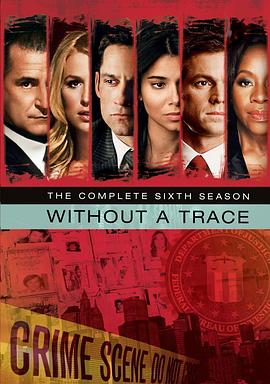 寻人密探组 第六季 Without a Trace Season 6