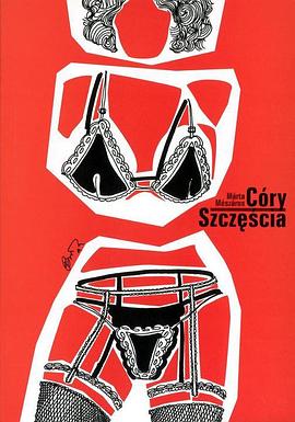 妓女·老师·母亲 A Szerencse lányai