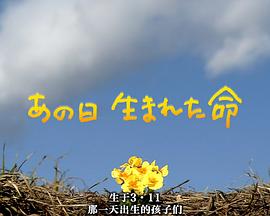 生于3·11 那一天出生的孩子们 あの日 生まれた命