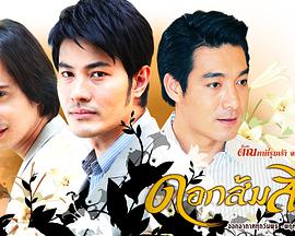 金橘花 ดอกส้มสีทอง