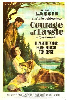 战火历险记 Courage of Lassie