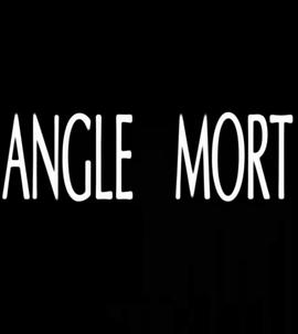 盲点 Angle Mort