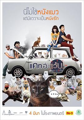擅离职守的猫咪 Cat อ่ะ แว๊บ!