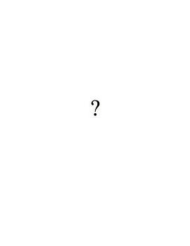 问号 The Question