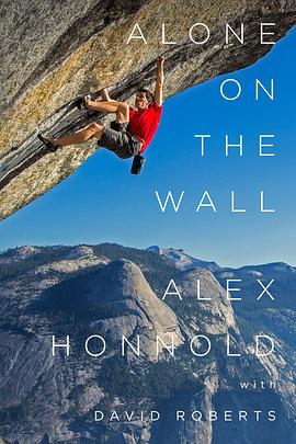孤身绝壁 Alone On The Wall