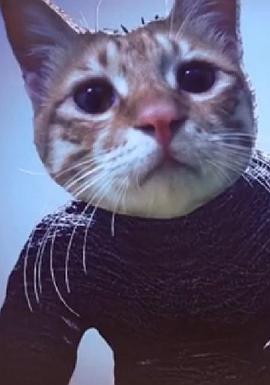 阿爸的天气预报 阿爸的天氣預報