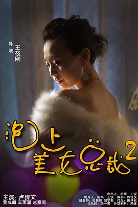 泡上美女总裁2
