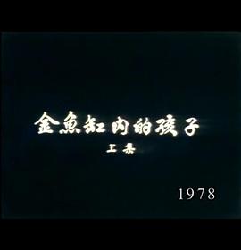狮子山下：金鱼缸内的孩子 獅子山下：金魚缸內的孩子