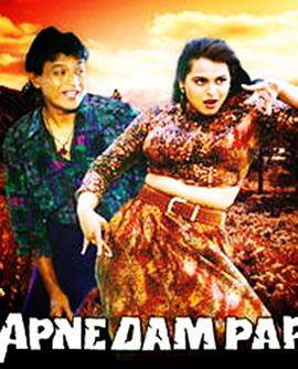 那些年我们一起追的梦 Apne Dam Par