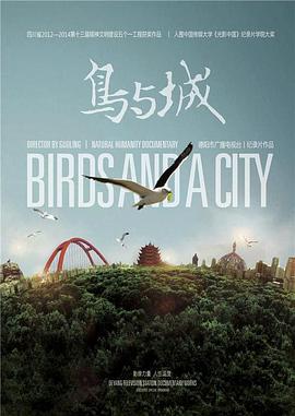 鸟与城